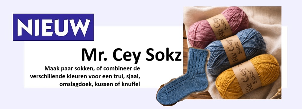 Sokz