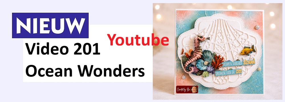 Video 201